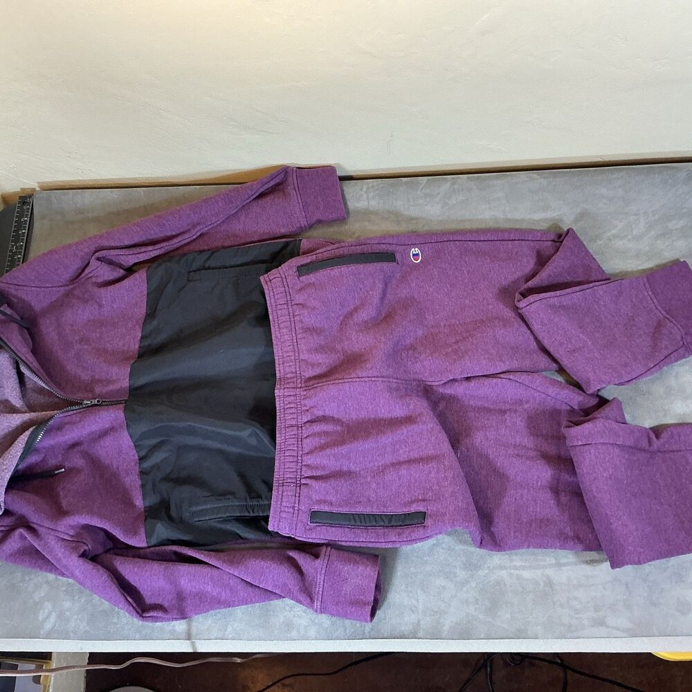 Champion Plum Brushed Cotton Track Suit L Men’s Large Plum Hoodie Sweatpants